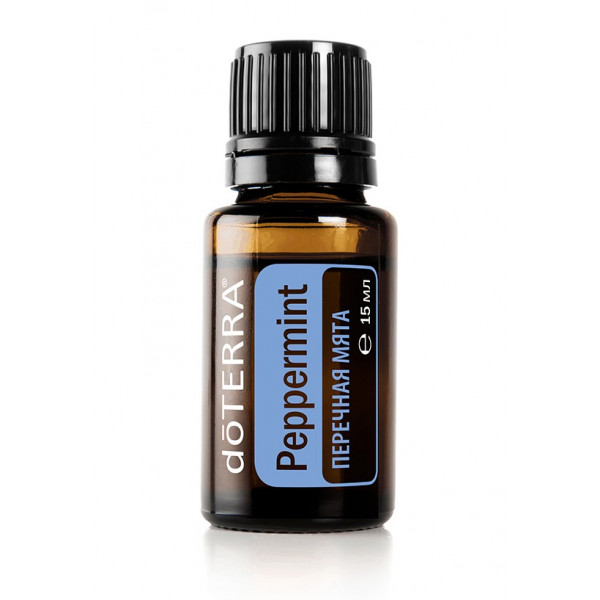 Мята перечная  Mentha piperita