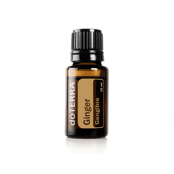 Имбирь  Zingiber officinale